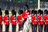 The Colonel's Review 2013: The Field Officer in Brigade Waiting, Lieutenant Colonel Dino Bossi, Welsh Guards in the center of the line..
Horse Guards Parade, Westminster,
London SW1,

United Kingdom,
on 08 June 2013 at 10:54, image #237