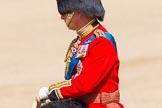 The Colonel's Review 2013: As the Colonel taking the salute, Colonel Welsh Guards, HRH The Prince of Wales..
Horse Guards Parade, Westminster,
London SW1,

United Kingdom,
on 08 June 2013 at 11:00, image #296