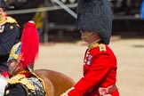 The Colonel's Review 2013.
Horse Guards Parade, Westminster,
London SW1,

United Kingdom,
on 08 June 2013 at 11:01, image #312