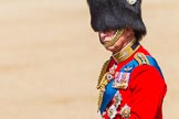 The Colonel's Review 2013: HRH The Prince of Wales, Colonel Welsh Guards..
Horse Guards Parade, Westminster,
London SW1,

United Kingdom,
on 08 June 2013 at 11:01, image #314