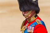 The Colonel's Review 2013: HRH The Prince of Wales, Colonel Welsh Guards..
Horse Guards Parade, Westminster,
London SW1,

United Kingdom,
on 08 June 2013 at 11:01, image #316