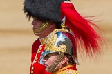 The Colonel's Review 2013.
Horse Guards Parade, Westminster,
London SW1,

United Kingdom,
on 08 June 2013 at 11:01, image #318