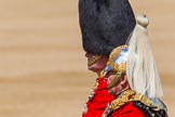 The Colonel's Review 2013: Colonel Coldstream Guards General Sir James Bucknall and Gold Stick in Waiting and Colonel Life Guards, Field Marshal the Lord Guthrie of Craigiebank, during the Inspection of the Line..
Horse Guards Parade, Westminster,
London SW1,

United Kingdom,
on 08 June 2013 at 11:02, image #324