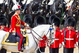 The Colonel's Review 2013: Major General Commanding the Household Division and General Officer Commanding London District, Major George Norton during the Inspection of the Line..
Horse Guards Parade, Westminster,
London SW1,

United Kingdom,
on 08 June 2013 at 11:03, image #349