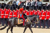 The Colonel's Review 2013: HRH The Prince of Wales, Colonel Welsh Guards saluting the Colour during the Inspection of the Line..
Horse Guards Parade, Westminster,
London SW1,

United Kingdom,
on 08 June 2013 at 11:03, image #356