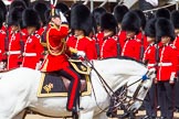 The Colonel's Review 2013: The Crown Equerry Colonel Toby Browne
Equerry in Waiting to Her Majesty, Lieutenant Colonel Alexander Matheson of Matheson, younger, saluting the Colour during the Inspection of the Line..
Horse Guards Parade, Westminster,
London SW1,

United Kingdom,
on 08 June 2013 at 11:04, image #363