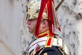 The Colonel's Review 2013.
Horse Guards Parade, Westminster,
London SW1,

United Kingdom,
on 08 June 2013 at 11:09, image #433