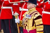 The Colonel's Review 2013: Drum Major Stephen Staite, Grenadier Guards..
Horse Guards Parade, Westminster,
London SW1,

United Kingdom,
on 08 June 2013 at 11:11, image #452