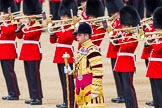 The Colonel's Review 2013: Senior Drum Major M J Betts, Grenadier Guards, commanding..
Horse Guards Parade, Westminster,
London SW1,

United Kingdom,
on 08 June 2013 at 11:12, image #459