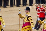 The Colonel's Review 2013: Senior Drum Major M J Betts, Grenadier Guards..
Horse Guards Parade, Westminster,
London SW1,

United Kingdom,
on 08 June 2013 at 11:12, image #461