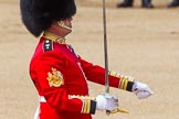 The Colonel's Review 2013: No. 1 Guard the Regimental Sergeant Major, WO1 Martin Topps, Welsh Guards..
Horse Guards Parade, Westminster,
London SW1,

United Kingdom,
on 08 June 2013 at 11:17, image #490