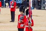 The Colonel's Review 2013: The Colour has been handed over from Colour Sergeant R J Heath, Welsh Guard to the Regimental Sergeant Major, WO1 Martin Topps, Welsh Guards. He now presents the Colour to the Ensign, Ensign, Second Lieutenant Joel Dinwiddle..
Horse Guards Parade, Westminster,
London SW1,

United Kingdom,
on 08 June 2013 at 11:19, image #511