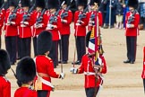 The Colonel's Review 2013: The Colour has been handed over from Colour Sergeant R J Heath, Welsh Guard to the Regimental Sergeant Major, WO1 Martin Topps, Welsh Guards. He now presents the Colour to the Ensign, Ensign, Second Lieutenant Joel Dinwiddle..
Horse Guards Parade, Westminster,
London SW1,

United Kingdom,
on 08 June 2013 at 11:19, image #512