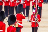 The Colonel's Review 2013: The Regimental Sergeant Major, WO1 Martin Topps, Welsh Guards presents the Colour to the Ensign, Second Lieutenant Joel Dinwiddle, who salutes the Colour with his sword..
Horse Guards Parade, Westminster,
London SW1,

United Kingdom,
on 08 June 2013 at 11:19, image #513