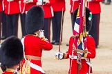 The Colonel's Review 2013: The Regimental Sergeant Major, WO1 Martin Topps, Welsh Guards presents the Colour to the Ensign, Second Lieutenant Joel Dinwiddle, who salutes the Colour with his sword..
Horse Guards Parade, Westminster,
London SW1,

United Kingdom,
on 08 June 2013 at 11:19, image #515