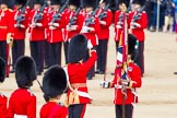 The Colonel's Review 2013: The Regimental Sergeant Major, WO1 Martin Topps, Welsh Guards  presents the Colour to the Ensign, Second Lieutenant Joel Dinwiddle, who sheathes the sword..
Horse Guards Parade, Westminster,
London SW1,

United Kingdom,
on 08 June 2013 at 11:19, image #516