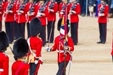 The Colonel's Review 2013: The Regimental Sergeant Major, WO1 Martin Topps, Welsh Guards  presents the Colour to the Ensign, Second Lieutenant Joel Dinwiddle, who sheathes the sword..
Horse Guards Parade, Westminster,
London SW1,

United Kingdom,
on 08 June 2013 at 11:19, image #517