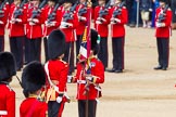 The Colonel's Review 2013: The Regimental Sergeant Major, WO1 Martin Topps, Welsh Guards  presents the Colour to the Ensign, Second Lieutenant Joel Dinwiddle, who sheathes the sword..
Horse Guards Parade, Westminster,
London SW1,

United Kingdom,
on 08 June 2013 at 11:19, image #518