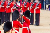 The Colonel's Review 2013: The Ensign, Second Lieutenant Joel Dinwiddle, takes posession of the Colour from the Regimental Sergeant Major, WO1 Martin Topps, Welsh Guards..
Horse Guards Parade, Westminster,
London SW1,

United Kingdom,
on 08 June 2013 at 11:19, image #519