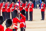 The Colonel's Review 2013: The Ensign, Second Lieutenant Joel Dinwiddle, takes posession of the Colour from the Regimental Sergeant Major, WO1 Martin Topps, Welsh Guards..
Horse Guards Parade, Westminster,
London SW1,

United Kingdom,
on 08 June 2013 at 11:19, image #520