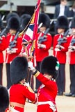 The Colonel's Review 2013: The Ensign, Second Lieutenant Joel Dinwiddle, takes posession of the Colour from the Regimental Sergeant Major, WO1 Martin Topps, Welsh Guards..
Horse Guards Parade, Westminster,
London SW1,

United Kingdom,
on 08 June 2013 at 11:19, image #521