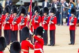 The Colonel's Review 2013: The Ensign, Second Lieutenant Joel Dinwiddle, takes posession of the Colour from the Regimental Sergeant Major, WO1 Martin Topps, Welsh Guards..
Horse Guards Parade, Westminster,
London SW1,

United Kingdom,
on 08 June 2013 at 11:19, image #522