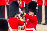 The Colonel's Review 2013: The Ensign, Second Lieutenant Joel Dinwiddle, takes posession of the Colour from the Regimental Sergeant Major, WO1 Martin Topps, Welsh Guards..
Horse Guards Parade, Westminster,
London SW1,

United Kingdom,
on 08 June 2013 at 11:19, image #523