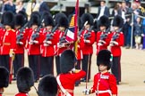 The Colonel's Review 2013: The Ensign, Second Lieutenant Joel Dinwiddle, takes posession of the Colour from the Regimental Sergeant Major, WO1 Martin Topps, Welsh Guards..
Horse Guards Parade, Westminster,
London SW1,

United Kingdom,
on 08 June 2013 at 11:20, image #524