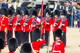 The Colonel's Review 2013: The Ensign, Second Lieutenant Joel Dinwiddle, takes posession of the Colour from the Regimental Sergeant Major, WO1 Martin Topps, Welsh Guards..
Horse Guards Parade, Westminster,
London SW1,

United Kingdom,
on 08 June 2013 at 11:20, image #525