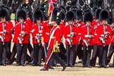 The Colonel's Review 2013: The Ensign troops the Colour along No. 3 Guard, 1st Battalion Welsh Guards..
Horse Guards Parade, Westminster,
London SW1,

United Kingdom,
on 08 June 2013 at 11:25, image #577