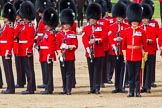 The Colonel's Review 2013: The Escort to the Colour has trooped the Colour past No. 2 Guard, 1st Battalion Welsh Guards, and is now almost back to their initial position, when they were the Escort for the Colour..
Horse Guards Parade, Westminster,
London SW1,

United Kingdom,
on 08 June 2013 at 11:26, image #584