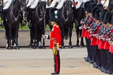 The Colonel's Review 2013: The guards are ready and in position for the March Past..
Horse Guards Parade, Westminster,
London SW1,

United Kingdom,
on 08 June 2013 at 11:29, image #603