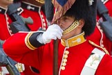 The Colonel's Review 2013: Close-up of the Ensign, Second Lieutenant Joel Dinwiddle, carrying the Colour during the March Past..
Horse Guards Parade, Westminster,
London SW1,

United Kingdom,
on 08 June 2013 at 11:33, image #631