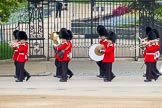 Major General's Review 2013: Musicians of the Band of the Irish Guards..
Horse Guards Parade, Westminster,
London SW1,

United Kingdom,
on 01 June 2013 at 10:16, image #61