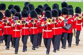 Major General's Review 2013: Musicians of the Band of the Irish Guards..
Horse Guards Parade, Westminster,
London SW1,

United Kingdom,
on 01 June 2013 at 10:17, image #63