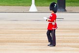 Major General's Review 2013: Garrison Sergeant Major WO1 Bill Mott, Welsh Guards, inspecting the parade ground..
Horse Guards Parade, Westminster,
London SW1,

United Kingdom,
on 01 June 2013 at 10:19, image #66