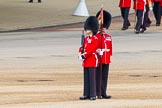 Major General's Review 2013: The Keepers of the Ground are in position..
Horse Guards Parade, Westminster,
London SW1,

United Kingdom,
on 01 June 2013 at 10:23, image #71