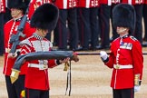 Major General's Review 2013: The uncasing of the Colour..
Horse Guards Parade, Westminster,
London SW1,

United Kingdom,
on 01 June 2013 at 10:32, image #125