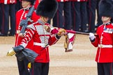 Major General's Review 2013: The uncasing of the Colour..
Horse Guards Parade, Westminster,
London SW1,

United Kingdom,
on 01 June 2013 at 10:32, image #126