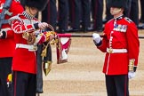 Major General's Review 2013: The uncasing of the Colour..
Horse Guards Parade, Westminster,
London SW1,

United Kingdom,
on 01 June 2013 at 10:32, image #127