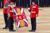 Major General's Review 2013: The Colour has been uncased..
Horse Guards Parade, Westminster,
London SW1,

United Kingdom,
on 01 June 2013 at 10:32, image #129