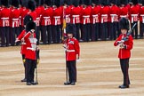 Major General's Review 2013: The Colour has been uncased..
Horse Guards Parade, Westminster,
London SW1,

United Kingdom,
on 01 June 2013 at 10:33, image #133