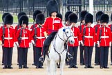 Major General's Review 2013: The Field Officer in Brigade Waiting, Lieutenant Colonel Dino Bossi, Welsh Guards in the center of the line..
Horse Guards Parade, Westminster,
London SW1,

United Kingdom,
on 01 June 2013 at 10:55, image #220