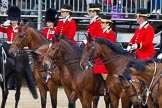 Major General's Review 2013: Four Grooms, The Royal Household..
Horse Guards Parade, Westminster,
London SW1,

United Kingdom,
on 01 June 2013 at 11:00, image #261