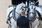 Major General's Review 2013: The two Windsor Grey horses pulling the  carriage that will carry HM The Queen..
Horse Guards Parade, Westminster,
London SW1,

United Kingdom,
on 01 June 2013 at 11:00, image #265