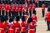 Major General's Review 2013: The Ensign, Second Lieutenant Joel Dinwiddle, in posession of the Colour, turns around to No. 1 Guard, now the Escort to the Colour..
Horse Guards Parade, Westminster,
London SW1,

United Kingdom,
on 01 June 2013 at 11:20, image #407