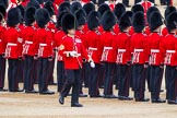 Major General's Review 2013: The Regimental Sergeant Major, WO1 Martin Topps, Welsh Guards, returns to the Escort to the Colour..
Horse Guards Parade, Westminster,
London SW1,

United Kingdom,
on 01 June 2013 at 11:20, image #411