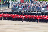 Major General's Review 2013: The Escort to the Colour troops the Colour past No. 6 Guard, No.7 Company Coldstream Guards..
Horse Guards Parade, Westminster,
London SW1,

United Kingdom,
on 01 June 2013 at 11:23, image #423