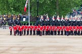 Major General's Review 2013: The Escort to the Colour has trooped the Colour past No. 2 Guard, 1st Battalion Welsh Guards, and is now almost back to their initial position, when they were the Escort for the Colour..
Horse Guards Parade, Westminster,
London SW1,

United Kingdom,
on 01 June 2013 at 11:25, image #435