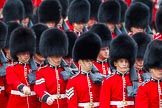 Major General's Review 2013: The March Past in Quick Time-Welsh Guards..
Horse Guards Parade, Westminster,
London SW1,

United Kingdom,
on 01 June 2013 at 11:42, image #540